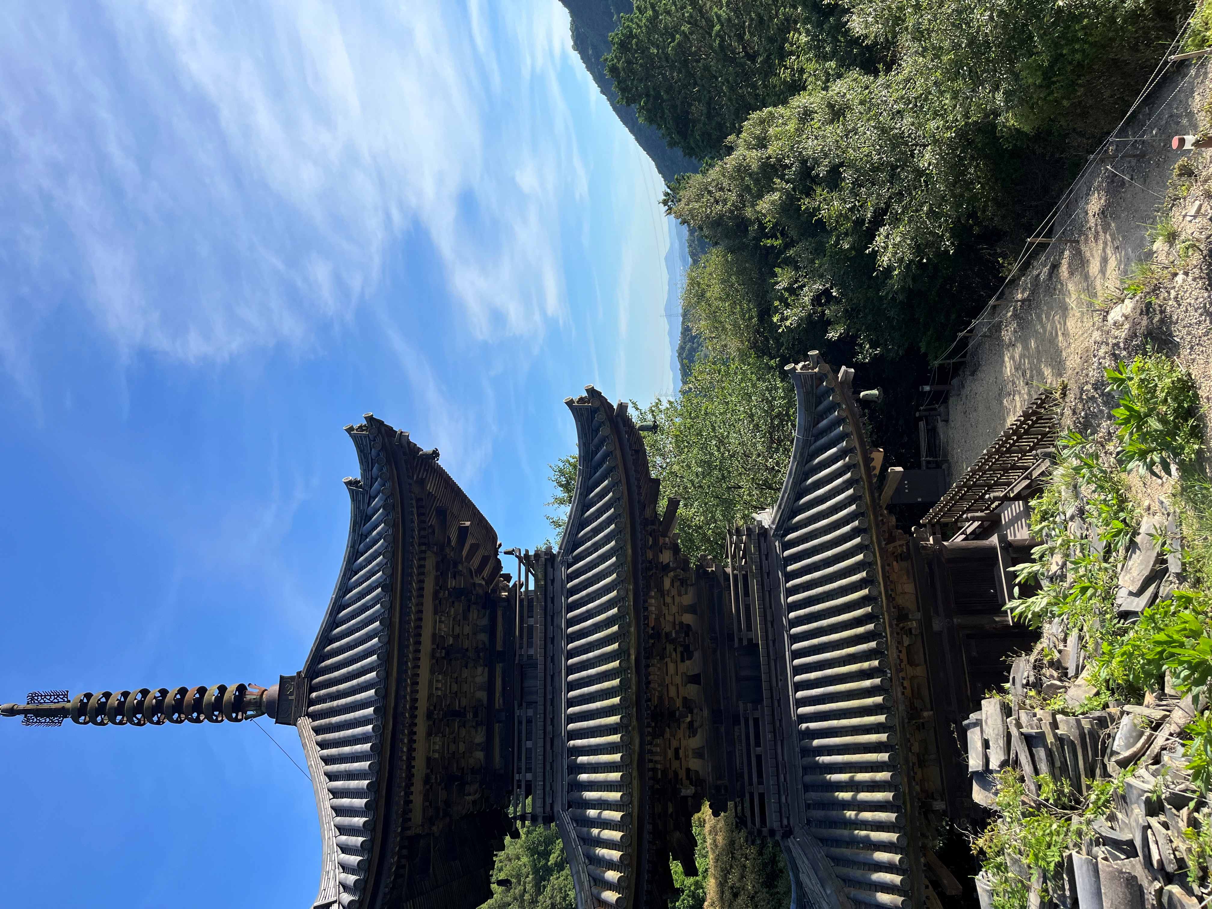 成婚画像
